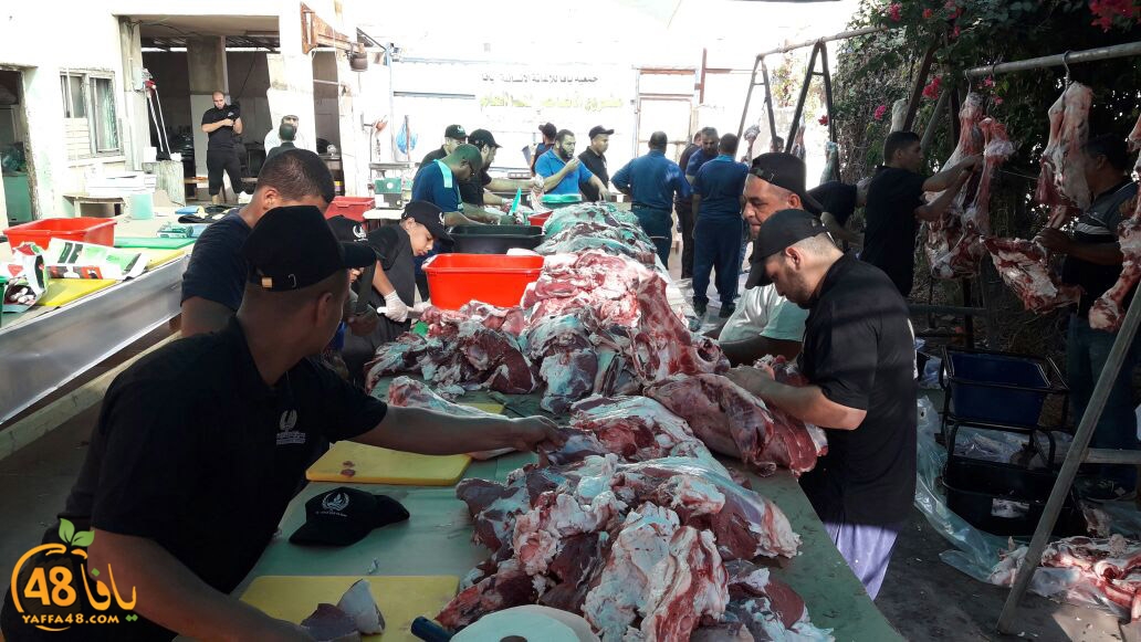 lod8om ada73y (70).jpg